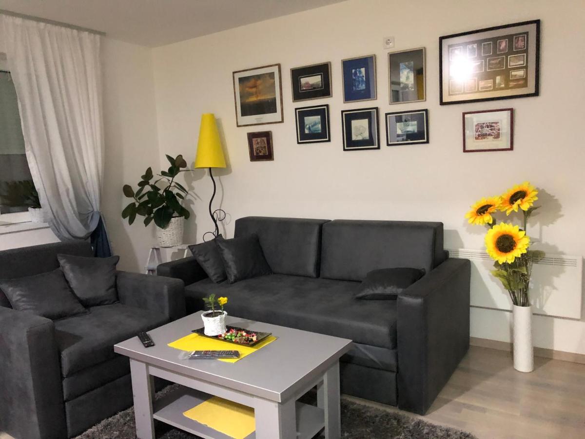 شقة Sunce Kruševac المظهر الخارجي الصورة
